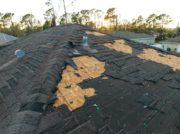 Best Storm Damage Roof Repair  in Waite Park, MN