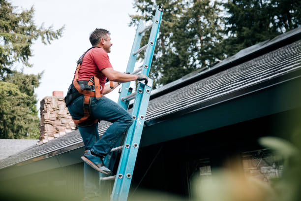 Best Gutter Installation and Repair  in Waite Park, MN